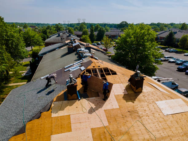 Trusted Storm Damage Roof Repair service in Montreat, NC - Brentwood Metal Roofing